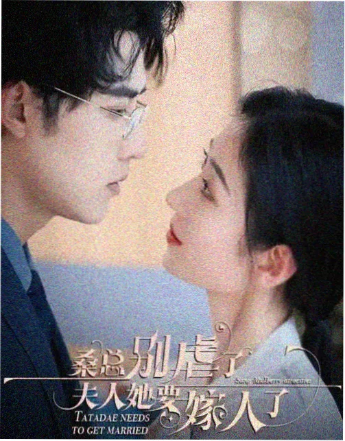 沉默的证词 剧集封面